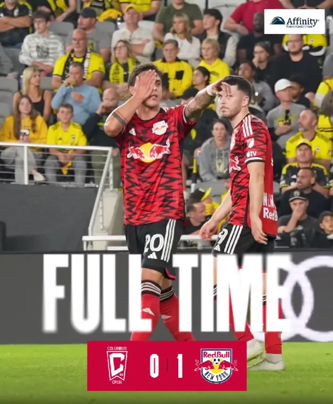 new york red bulls
