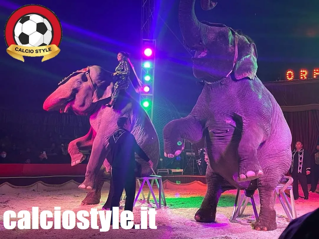 circo greca orfei