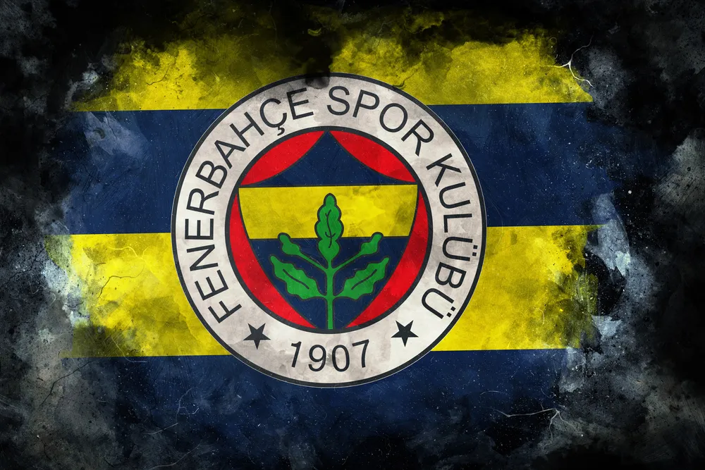 Fenerbahçe, ufficiale: ecco la nuova punta