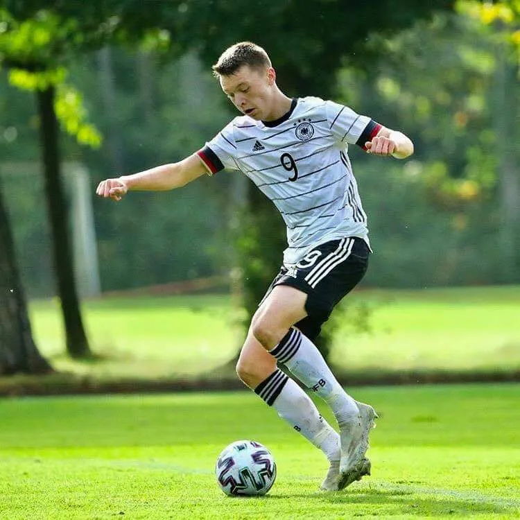 Calciomercato Inter Dzenan Pejcinovic 