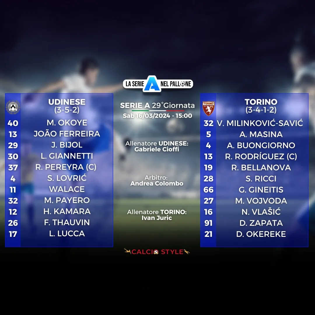 udinese-torino