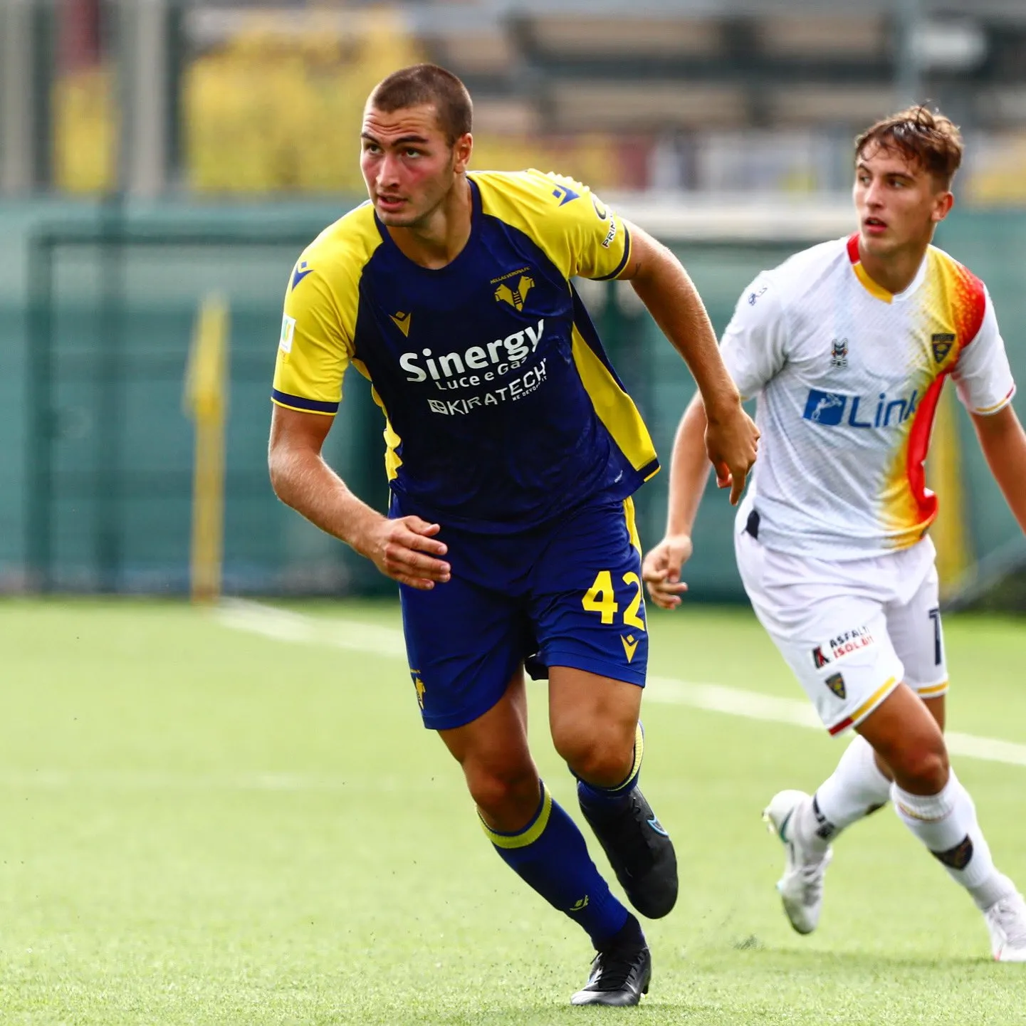Hellas Verona-Coppola, ufficiale il rinnovo: i dettagli
