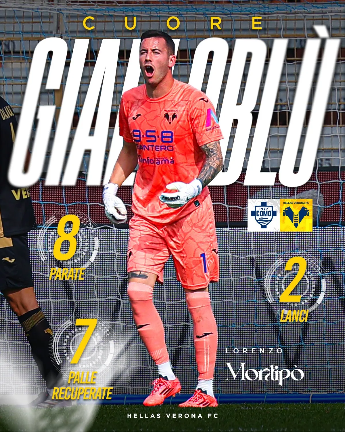 Hellas Verona montipò
