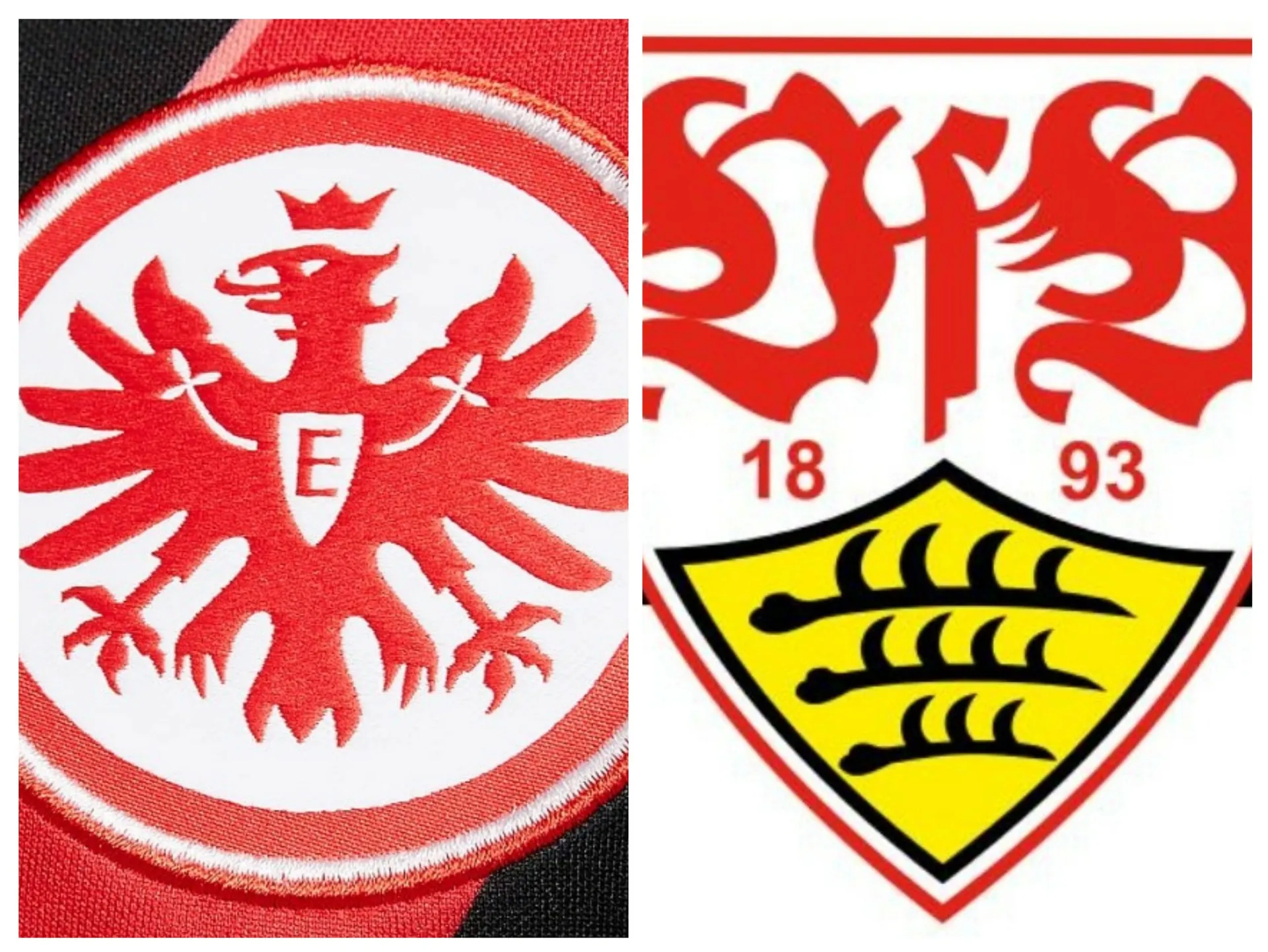 Brych