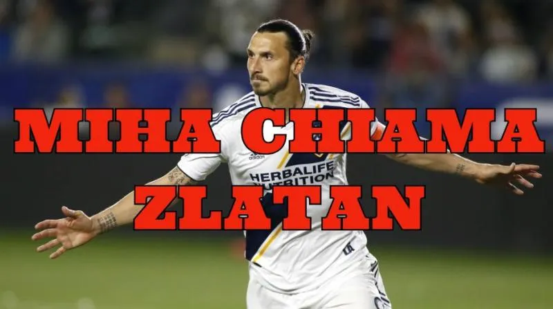 Il Bologna fa sul serio per Ibra