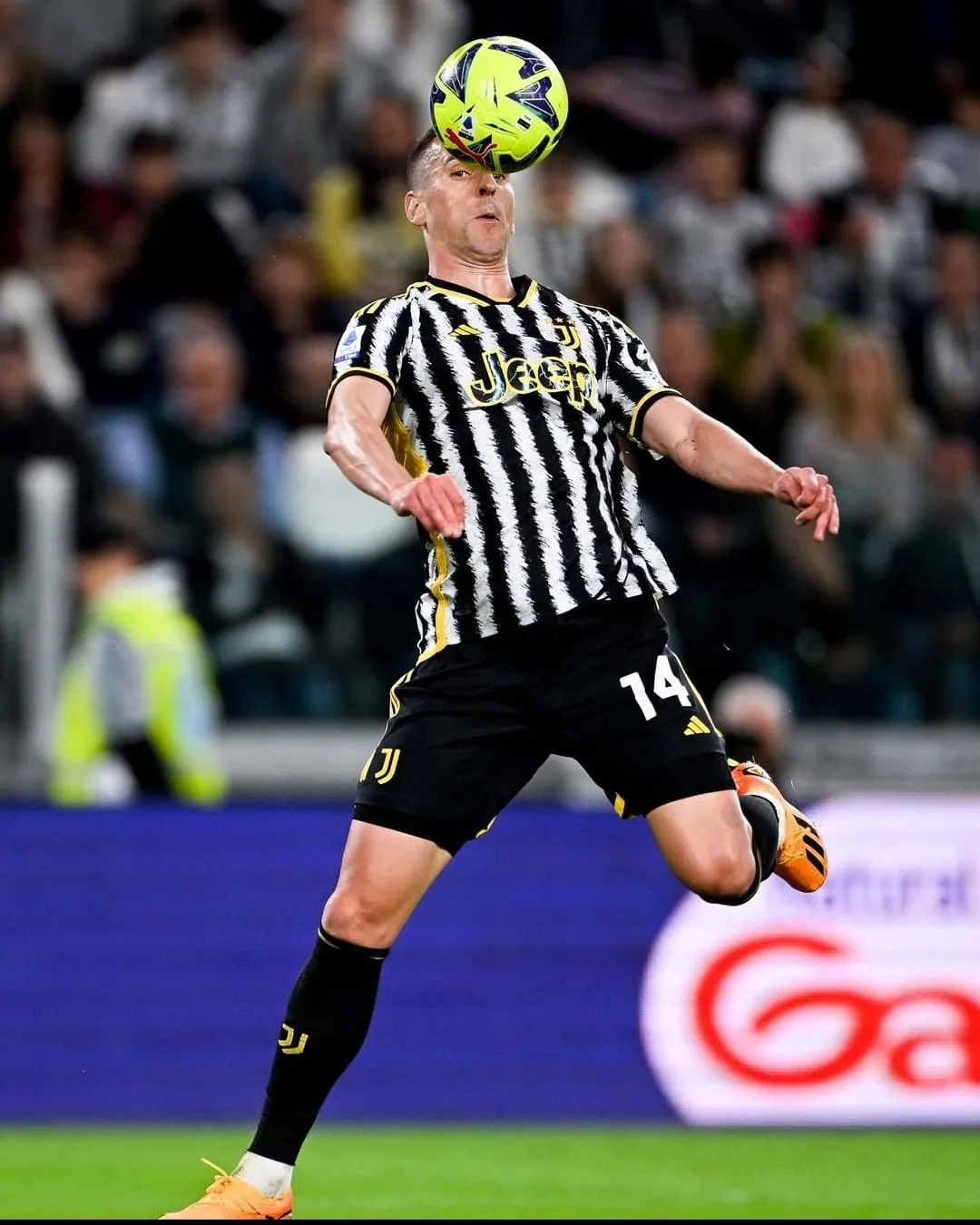 Milik, Juventus