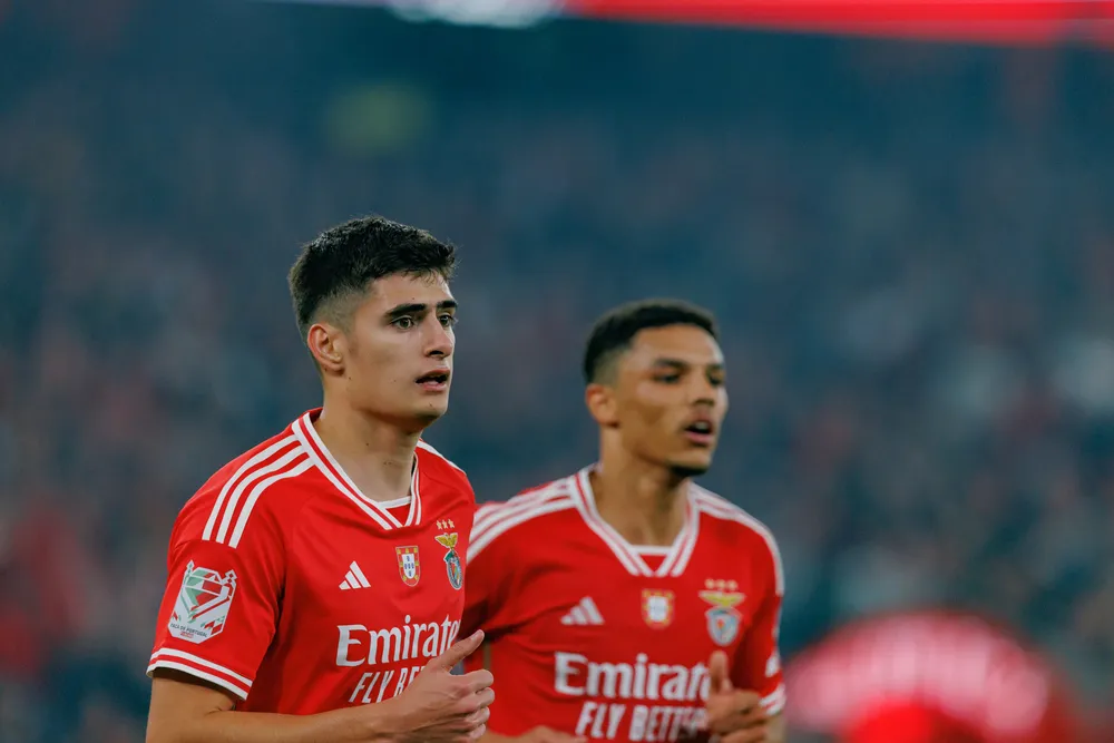 Benfica, in arrivo Amar Dedic per €12M