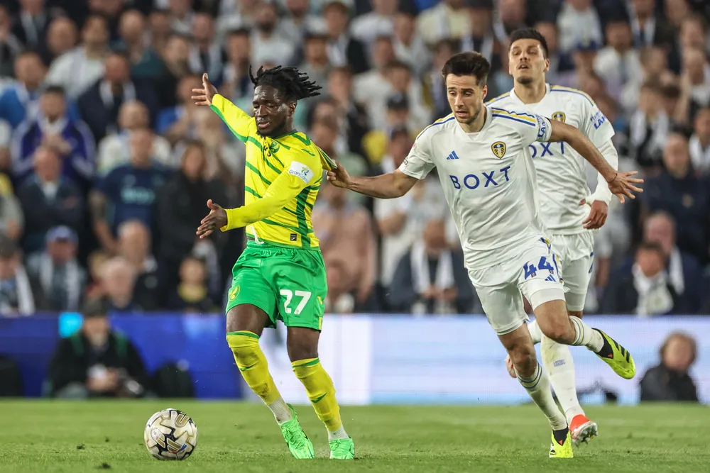 Calciomercato Atalanta-Bologna: Rowe ma anche De Roon