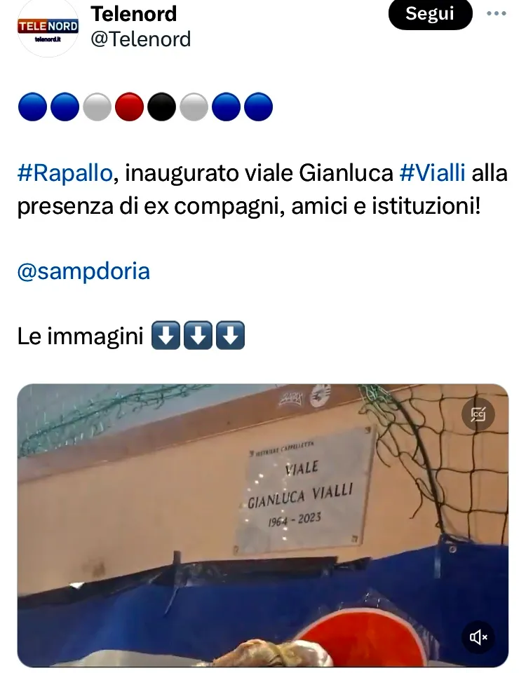 Vialli la strada intitolata