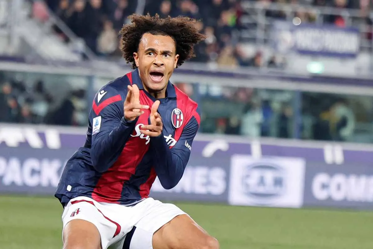 Milan, Zirkzee più un altro attaccante: questa l'idea di Ibrahimovic