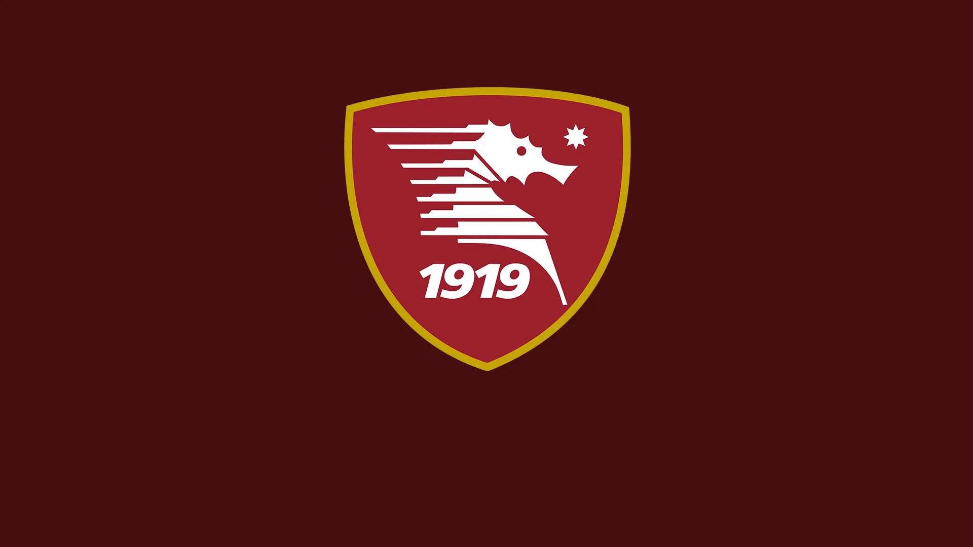 Salernitana, esplosione di socialtifo
