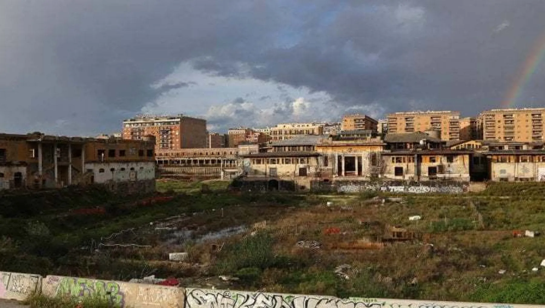 roma