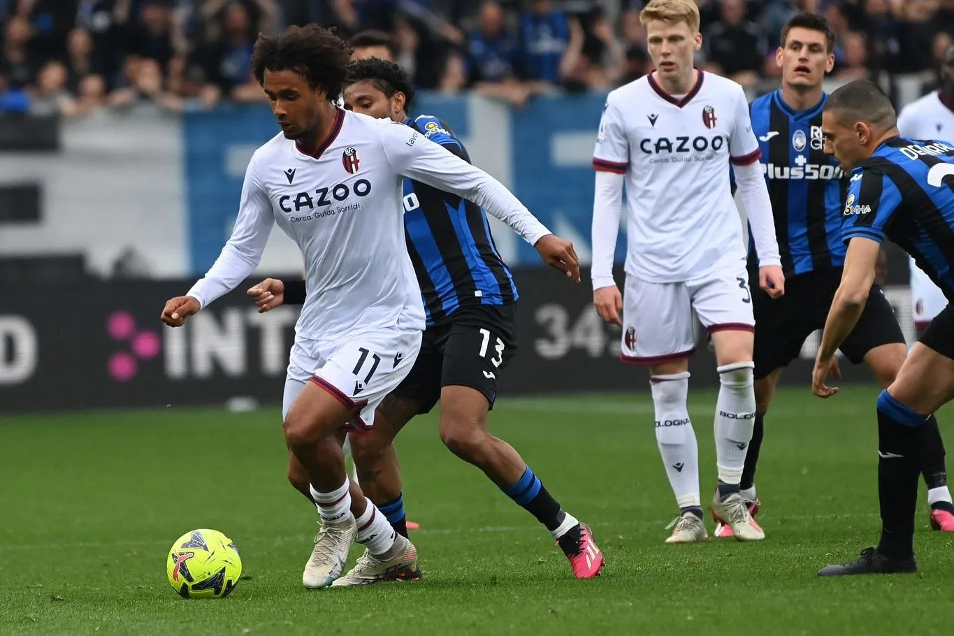 Bologna, quanto vale Joshua Zirkzee?