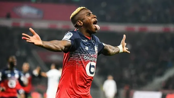 Victor Osimhen, Lille