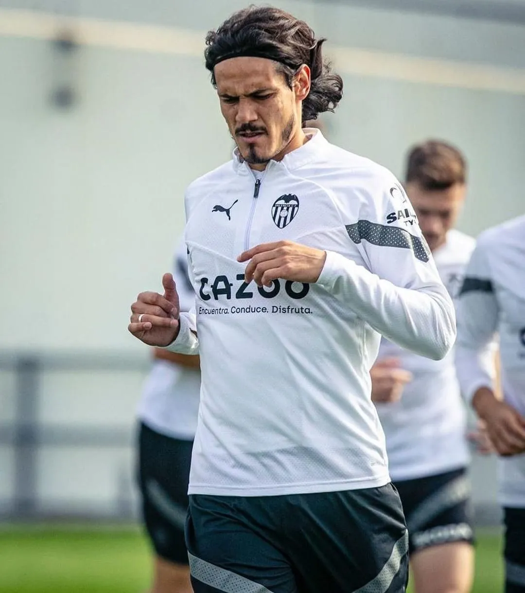 Cavani