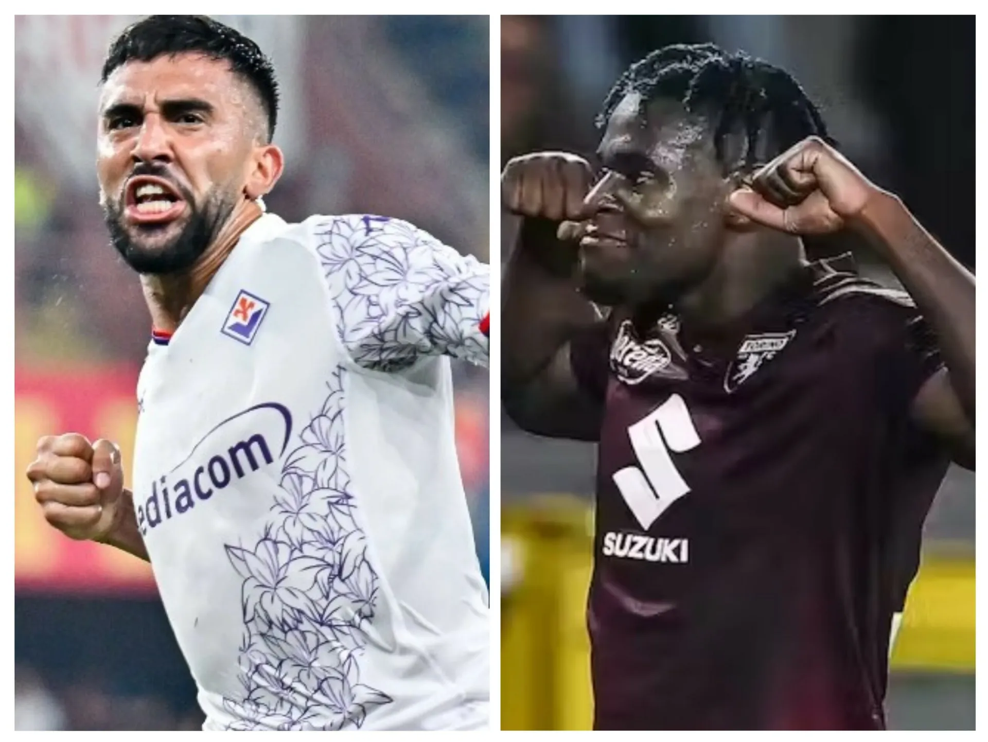 Fiorentina-Torino