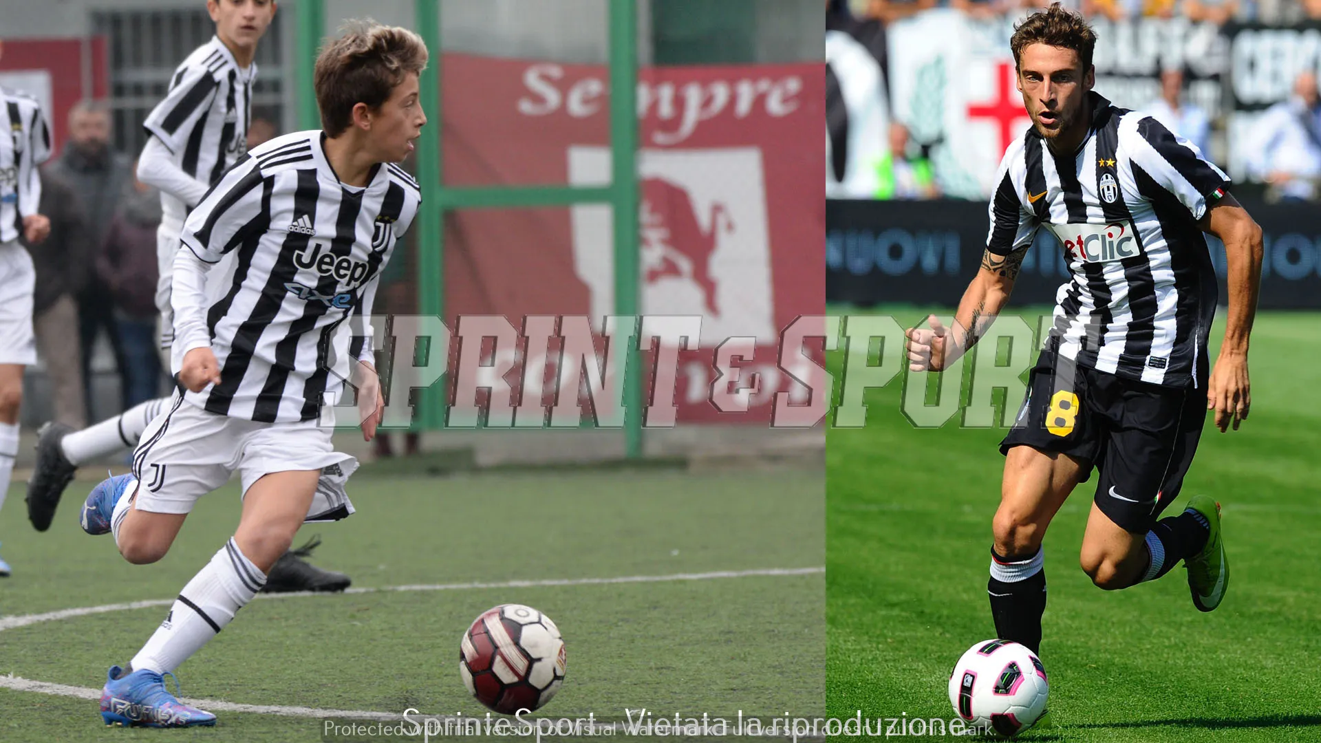 Marchisio 
